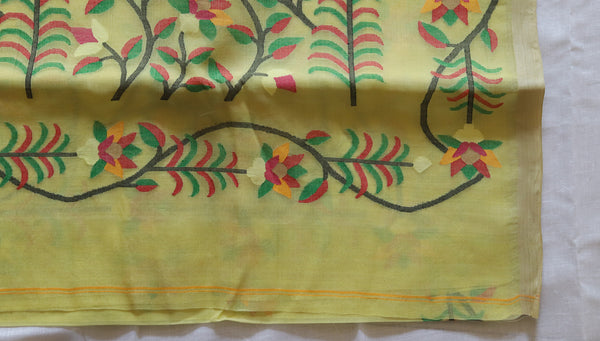 Handwoven Bengal Muslin Saree