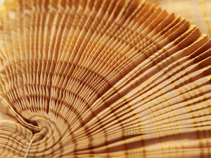 Bengal Handwoven Tangail Dhoti (Dhuti)