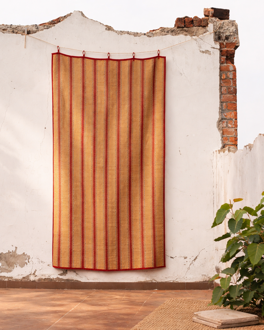Striped fabric hanging against a textured wall with a plant in the foreground