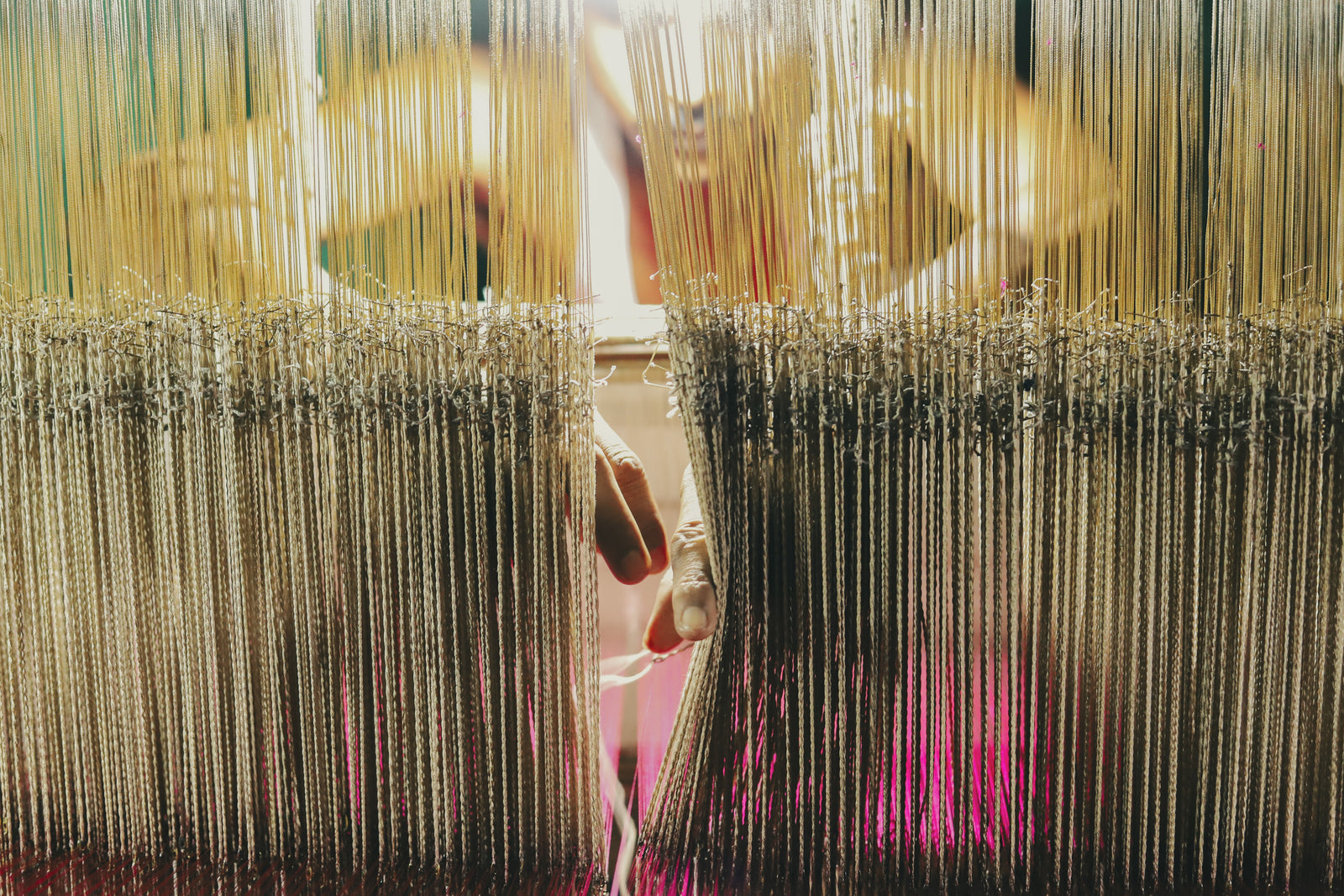 Photograph · 2020